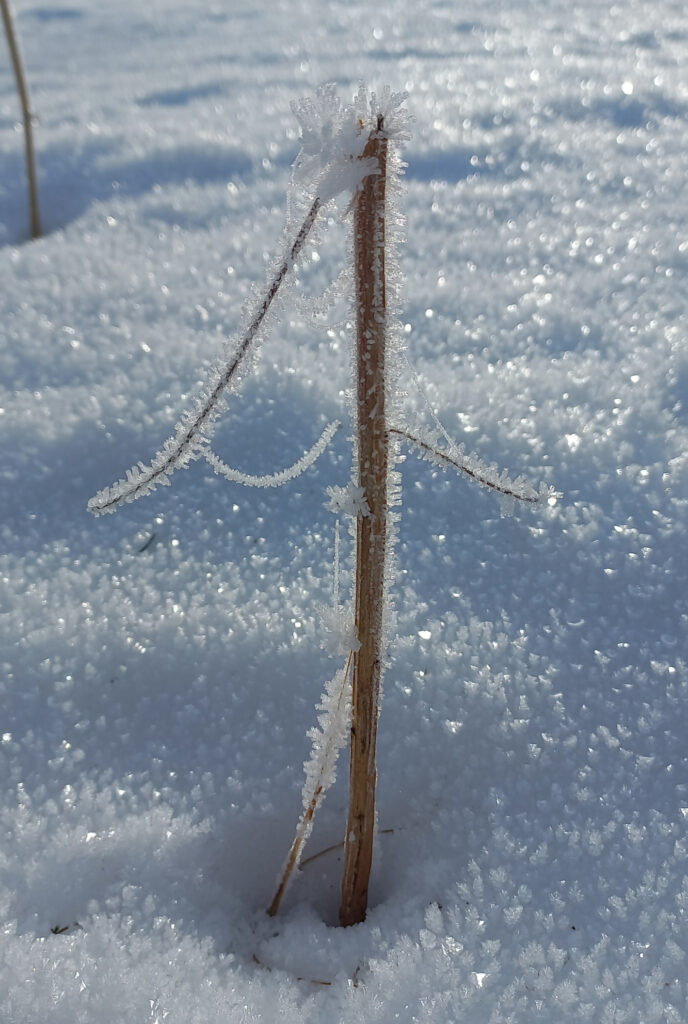 schneekristall in form eines A