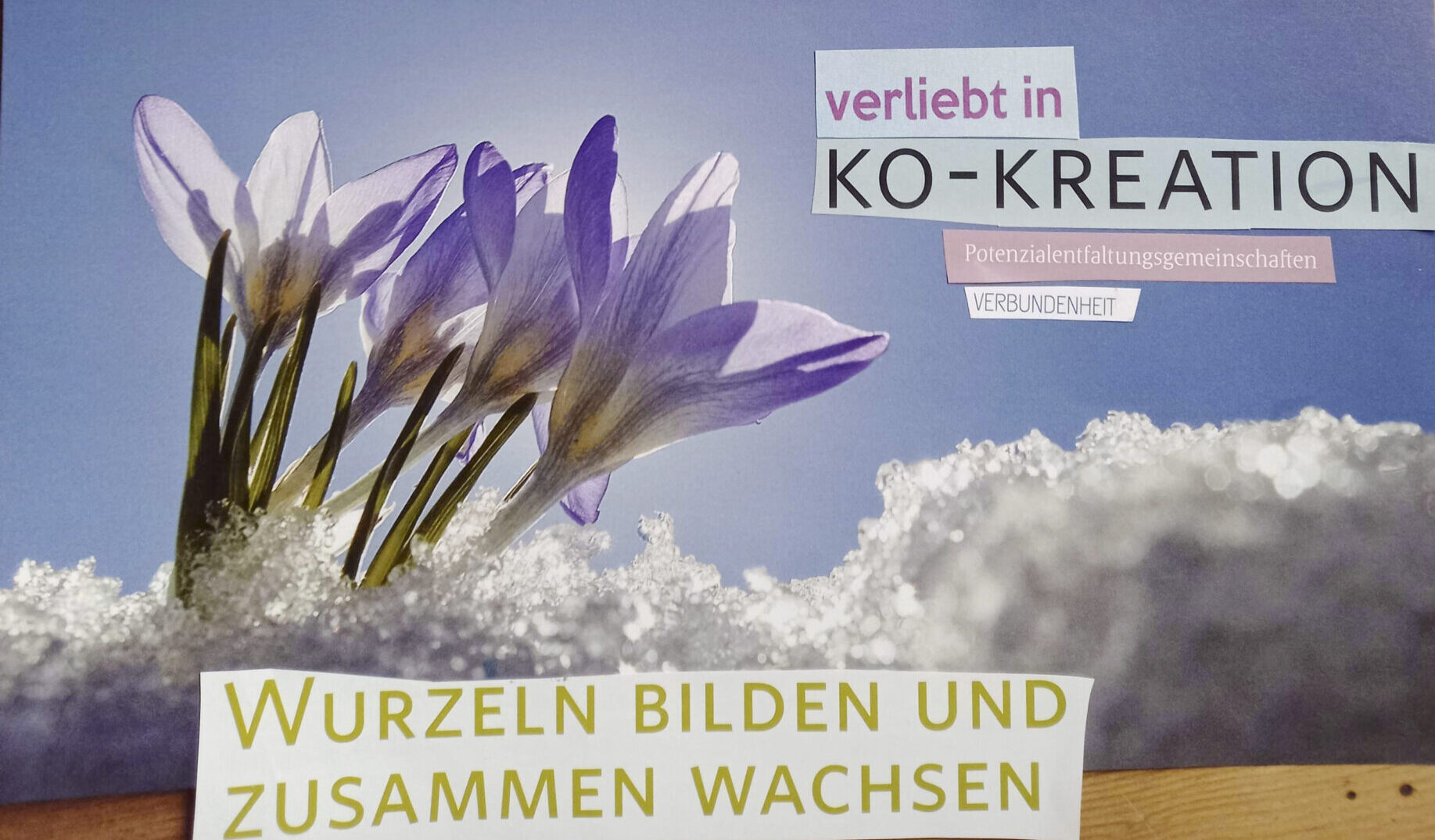 Wort-Bild-Collage mit Schnee und Krokussen
