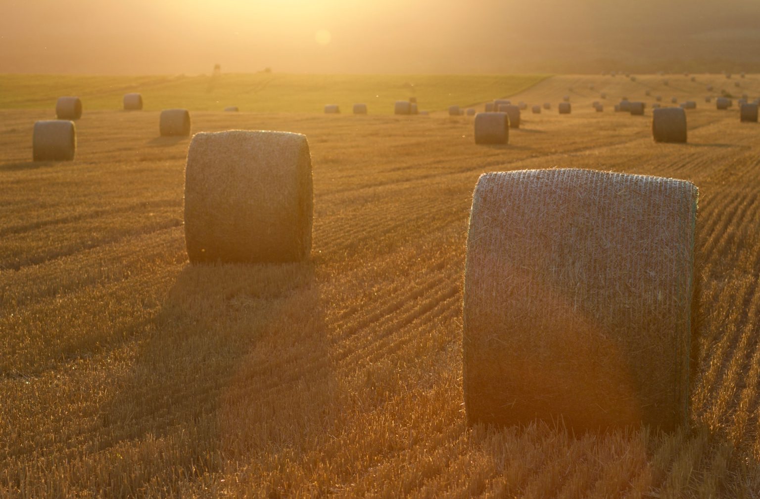 Strohballen auf einem Feld in der Abendsonne