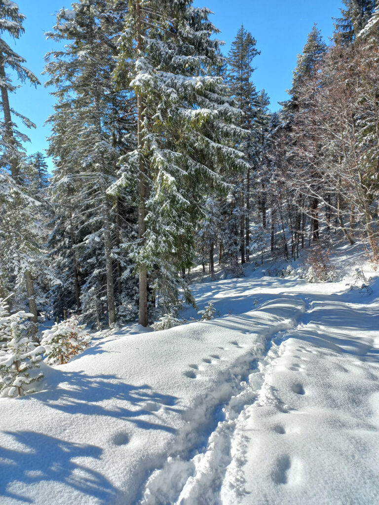 weg-schreibimpuls-anfang-schneespuren